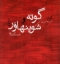 تصویر  گوته و شوپنهاور  - نامه نگاری ها (جیبی-شمیز)